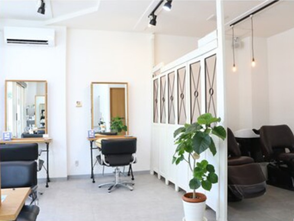 hair salon villa